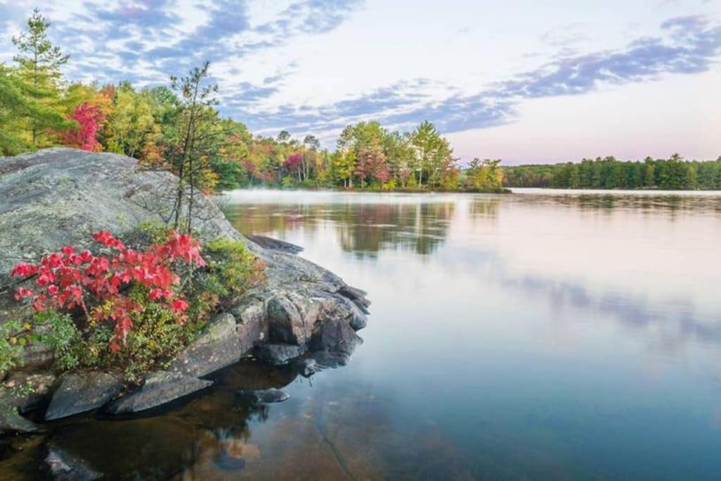 Private Cottage With Huge Private Dog Park! Barrys Bay Exterior foto
