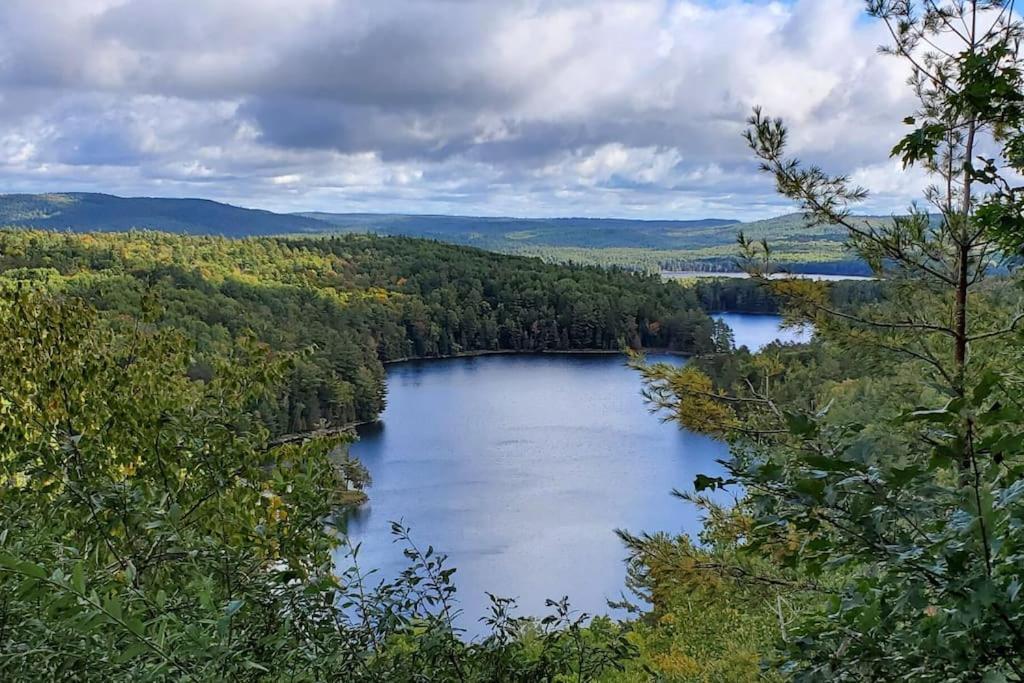 Private Cottage With Huge Private Dog Park! Barrys Bay Exterior foto