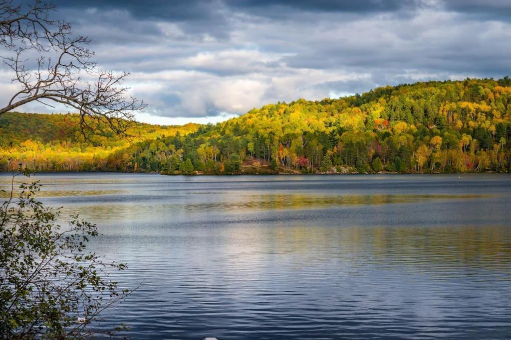 Private Cottage With Huge Private Dog Park! Barrys Bay Exterior foto