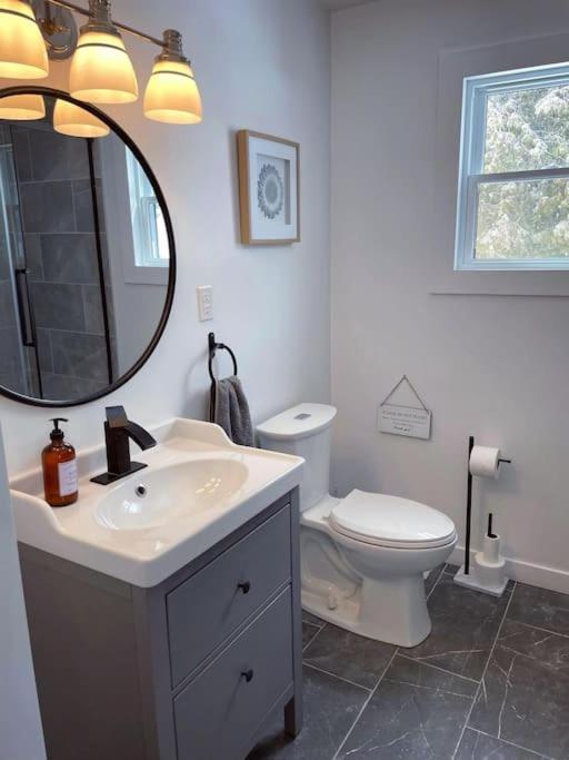 Private Cottage With Huge Private Dog Park! Barrys Bay Exterior foto